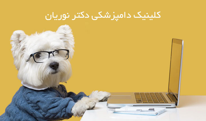 دامپزشکی حیوانات خانگی قائمشهر